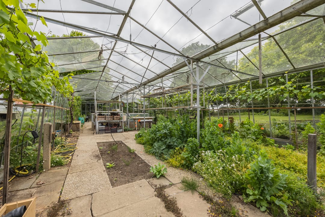 Foto 52 van Lutterweg 17