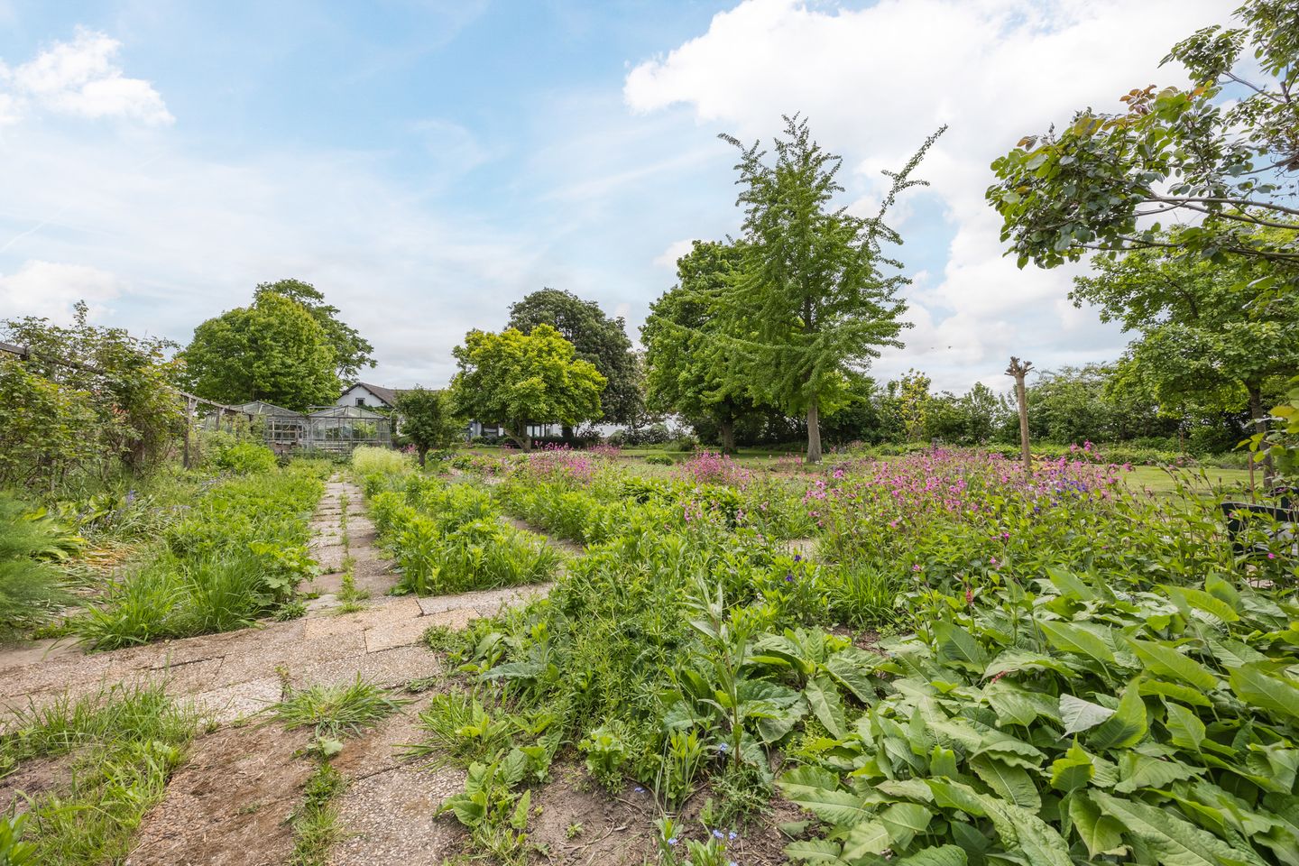 Foto 59 van Lutterweg 17