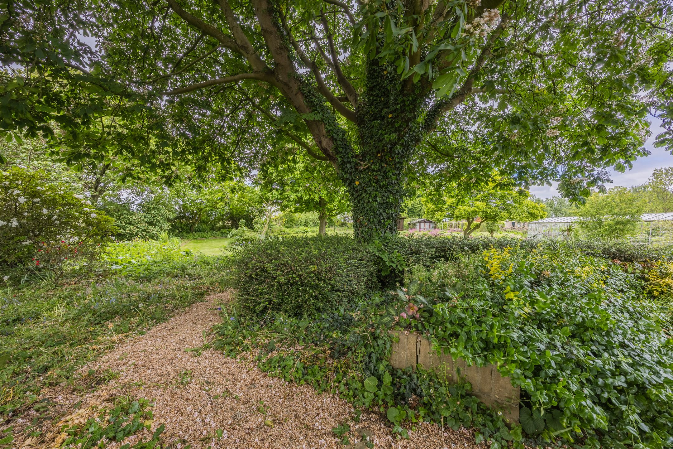 Foto 60 van Lutterweg 17