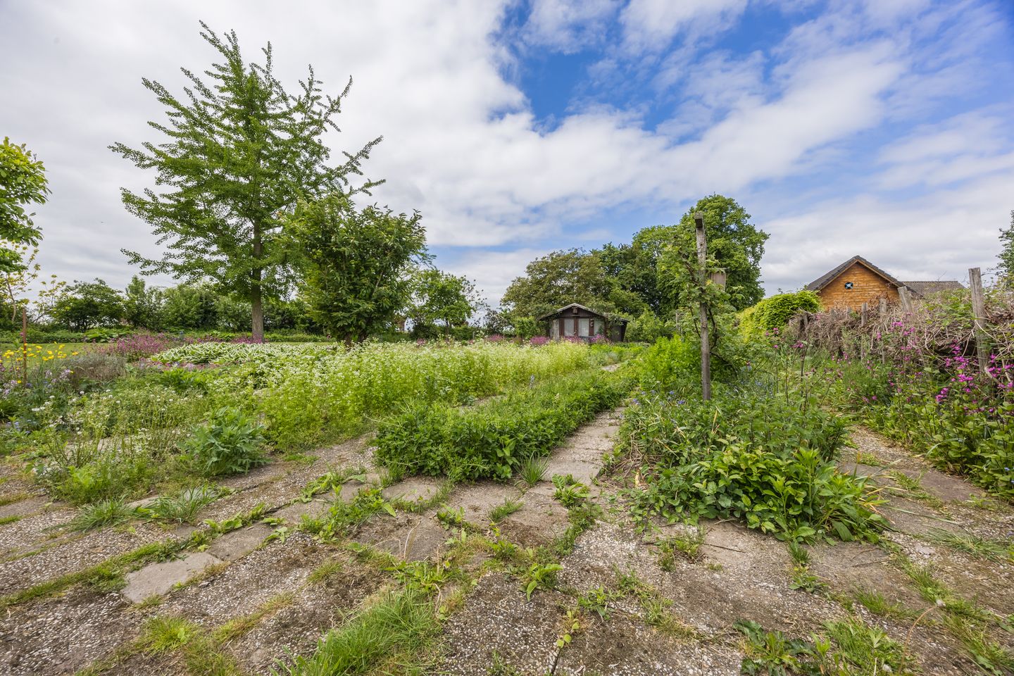 Foto 64 van Lutterweg 17