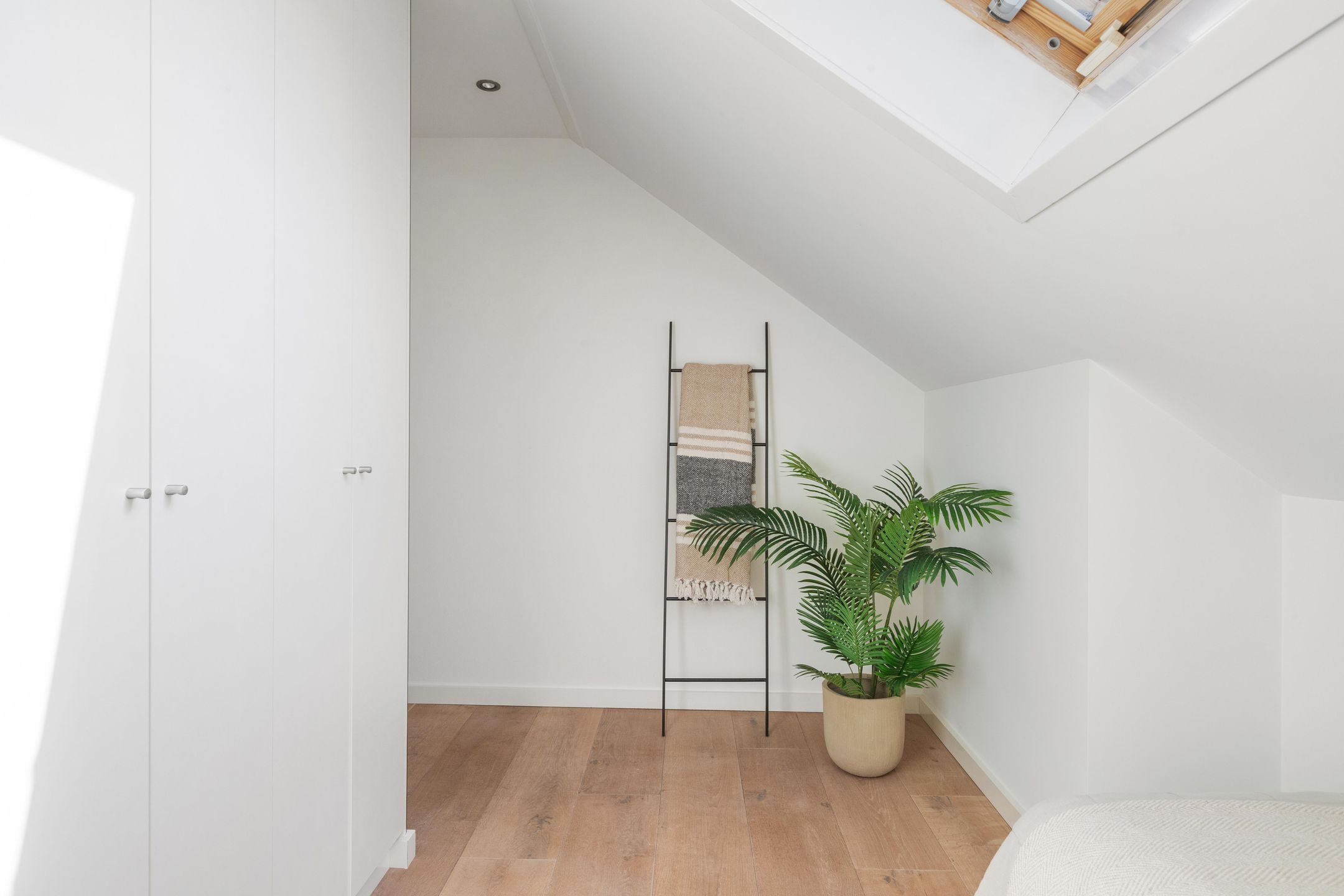 Foto 42 van Dokter van Peltlaan 50