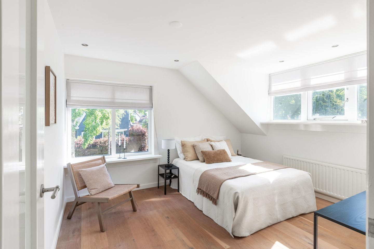 Foto 44 van Dokter van Peltlaan 50