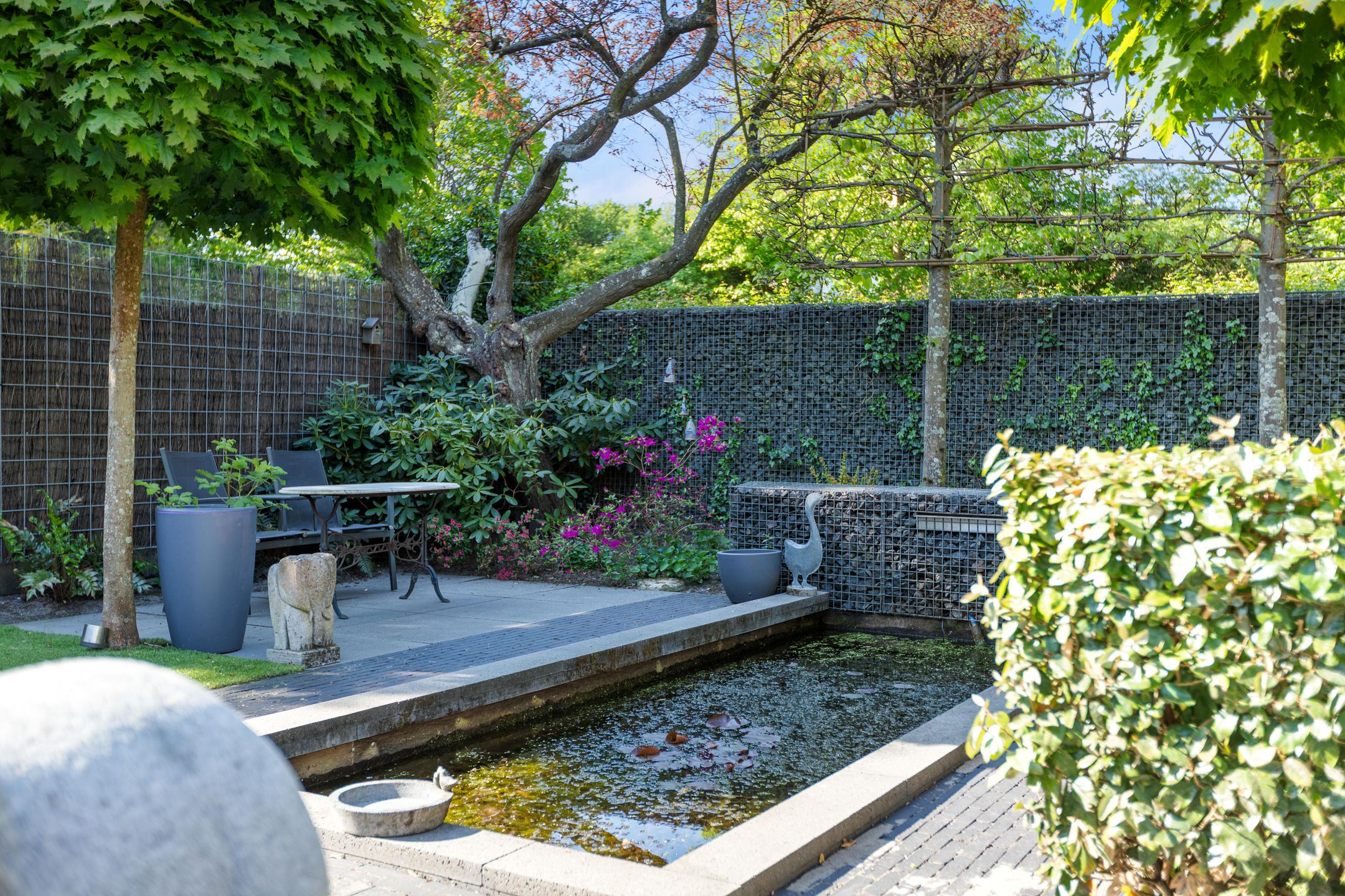 Foto 54 van Dokter van Peltlaan 50