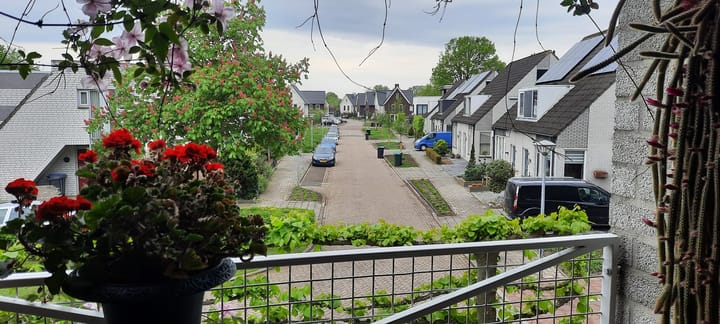 Foto 25 van De Wieken 41