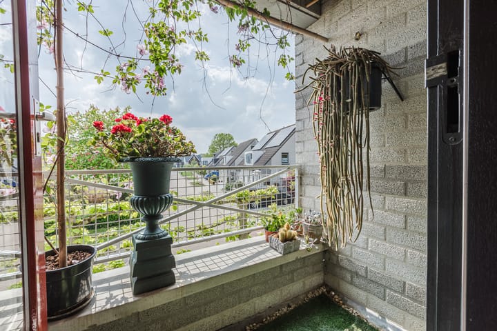 Foto 26 van De Wieken 41