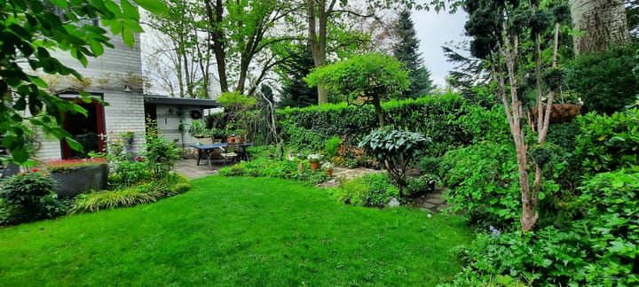 Foto 42 van De Wieken 41