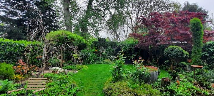 Foto 43 van De Wieken 41