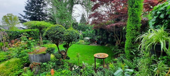 Foto 44 van De Wieken 41