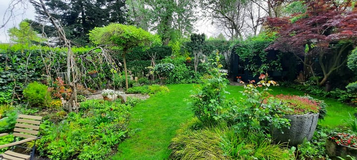 Foto 45 van De Wieken 41