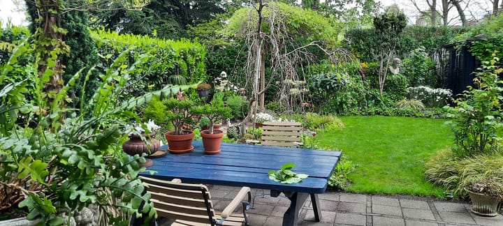 Foto 46 van De Wieken 41