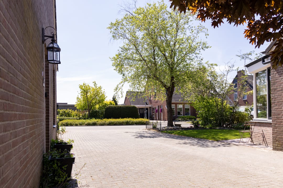 Photo 8 of De Weed 19