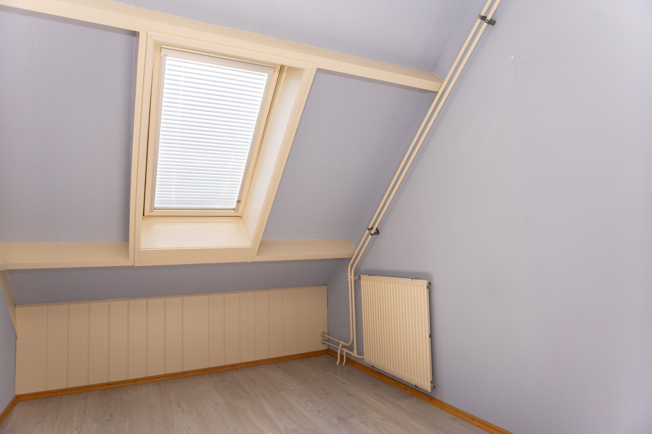 Photo 30 of De Weed 19