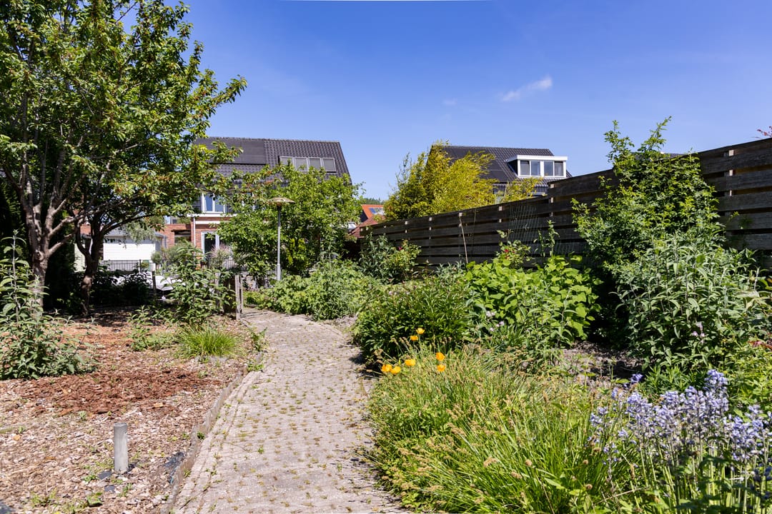 Photo 38 of De Weed 19