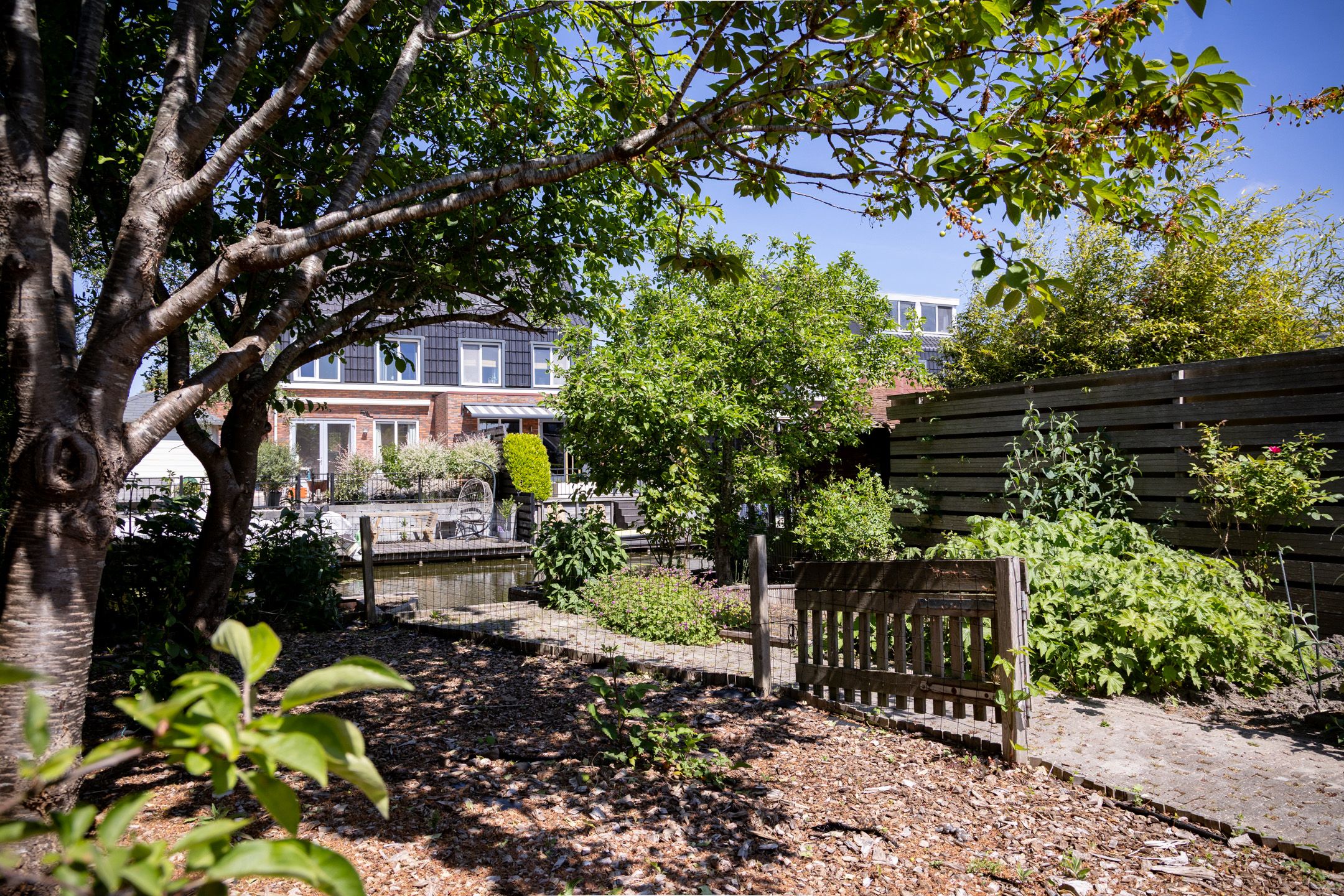 Photo 39 of De Weed 19