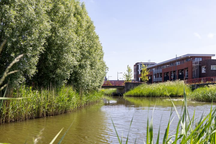 Photo 46 of De Weed 19