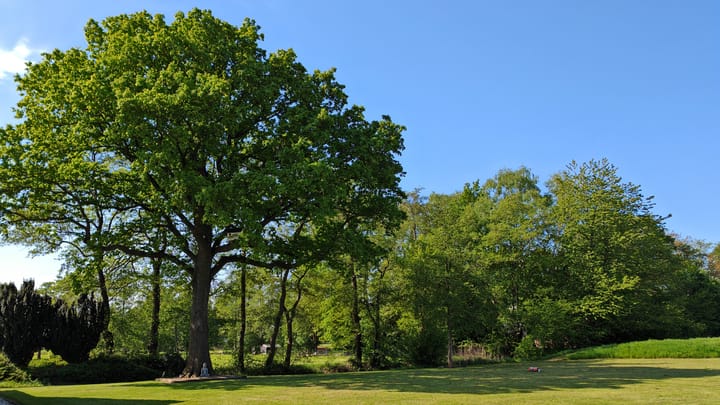 Foto 38 van Bisschopswijk 3