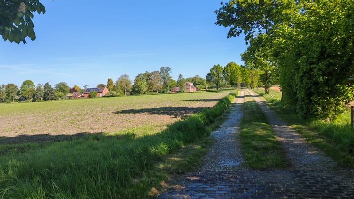 Foto 46 van Bisschopswijk 3