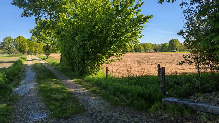 Foto 47 van Bisschopswijk 3