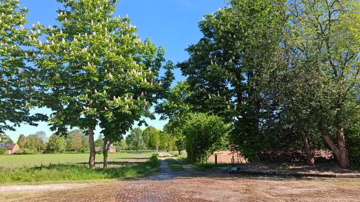 Foto 50 van Bisschopswijk 3