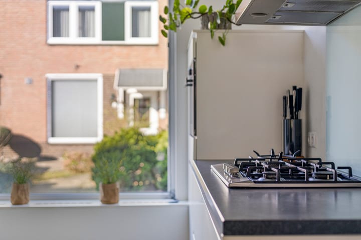 Foto 13 van Aalkeborg 42