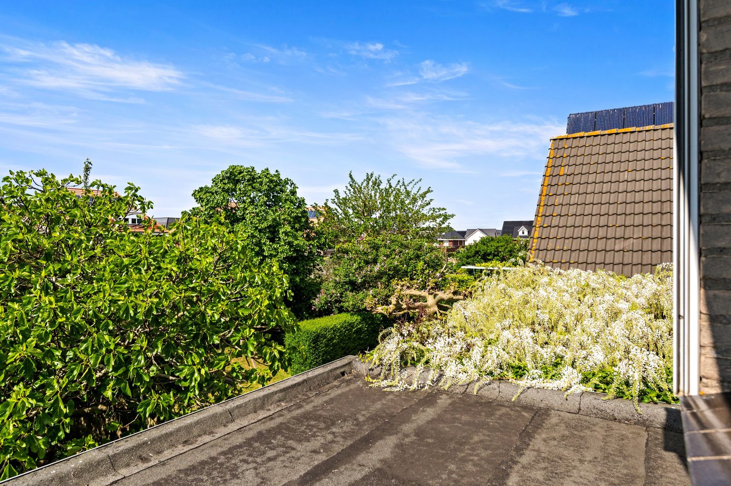 Foto 55 van Van Velzenstraat 9