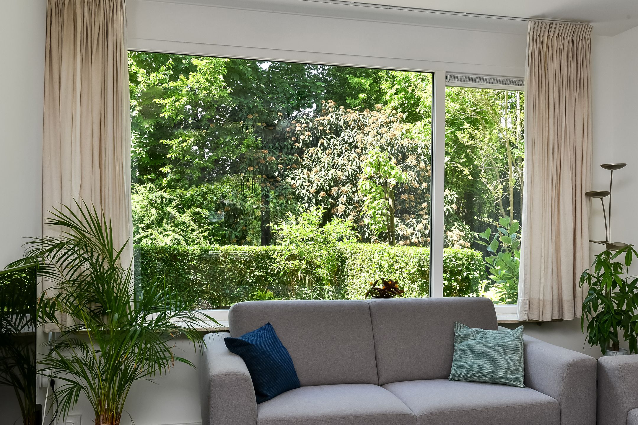 Foto 6 van Sleggeplantsoen 46