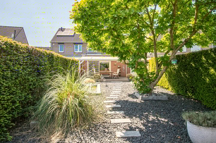 Foto 24 van Namiddagse Driessen 8