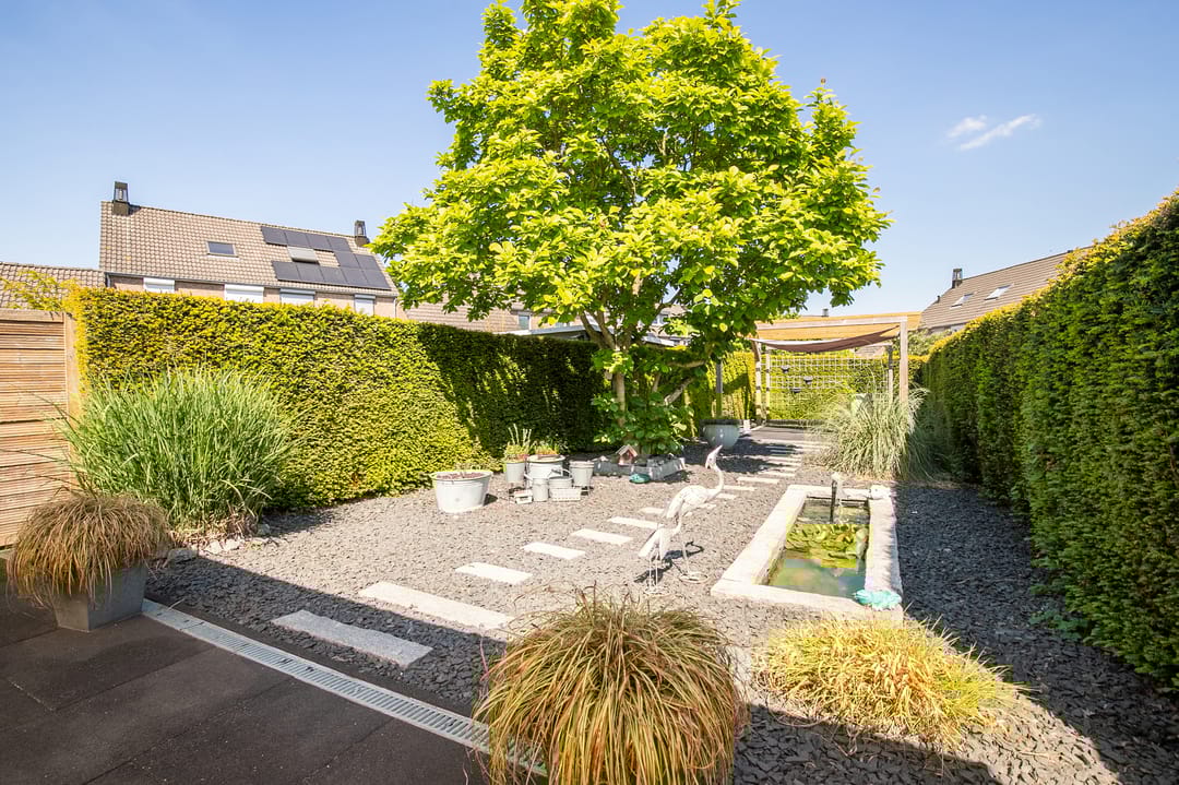 Photo 26 of Namiddagse Driessen 8