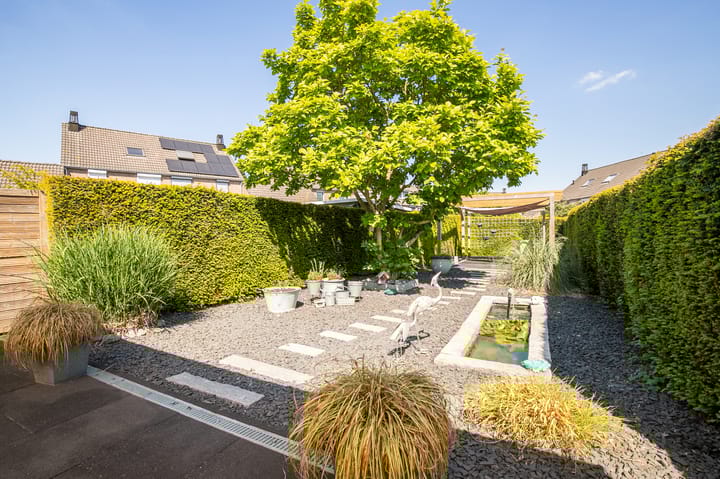 Foto 26 van Namiddagse Driessen 8