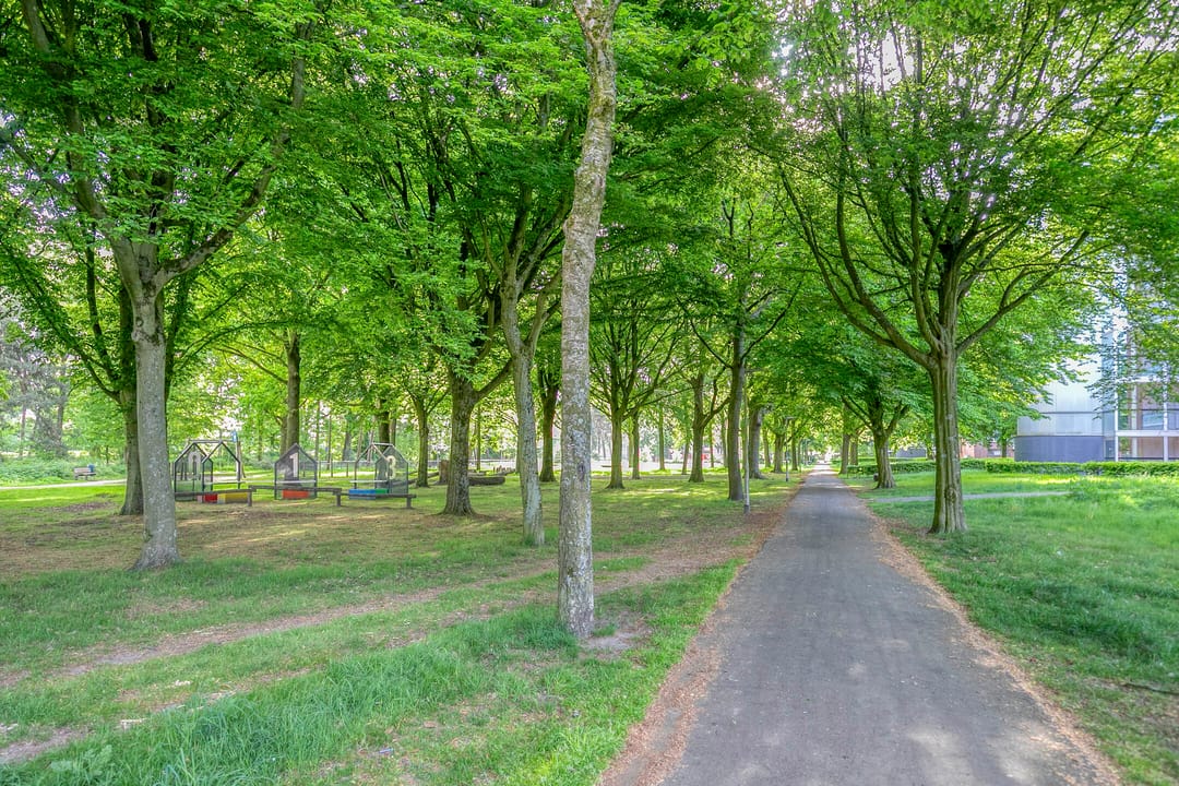 Photo 31 of Bieslookweg 12