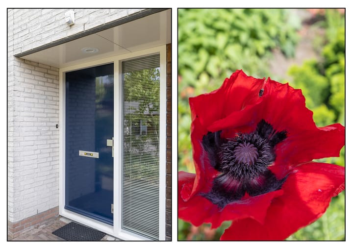 Foto 24 van Chalonhof 131