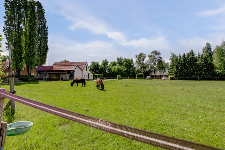 Photo 39 of Meermuidenseweg 7