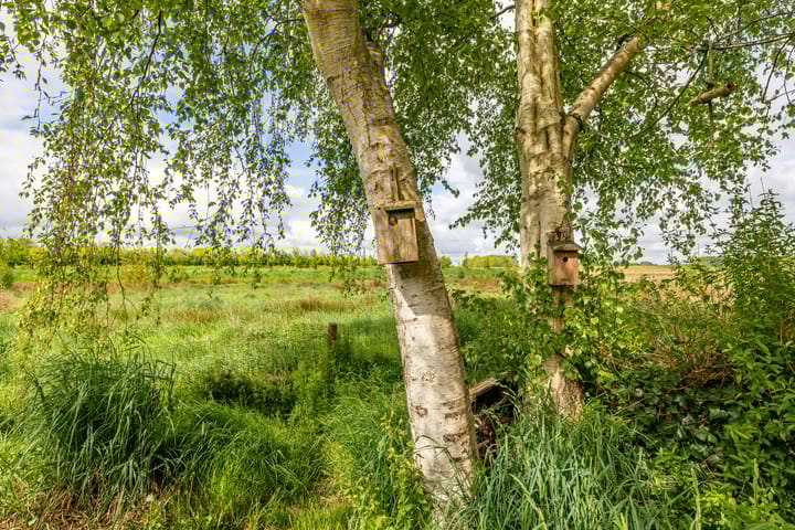 Foto 55 van Hoofdweg 6-A