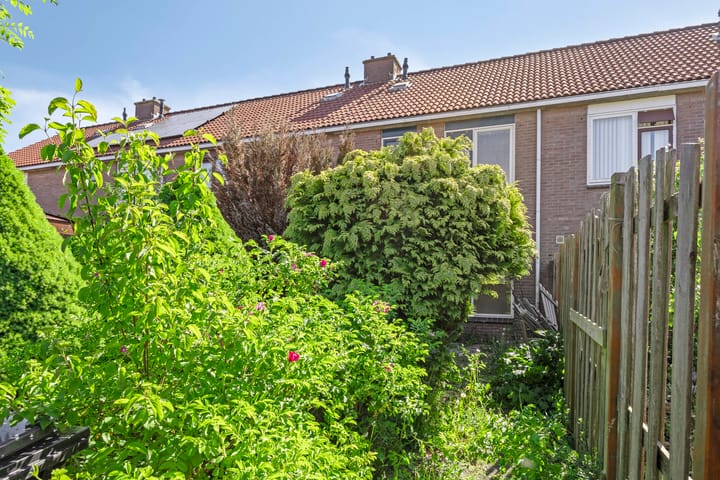 Photo 19 of Grutto 104