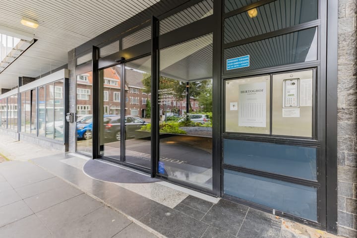 Foto 19 van Hertog Hendrik van Brabantplein 18-A