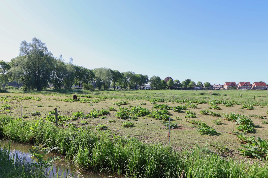 Photo 37 of Da Costastraat 34