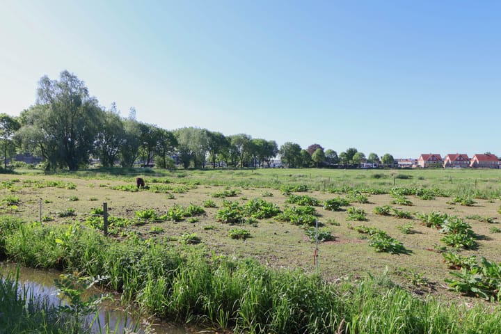 Foto 37 van Da Costastraat 34