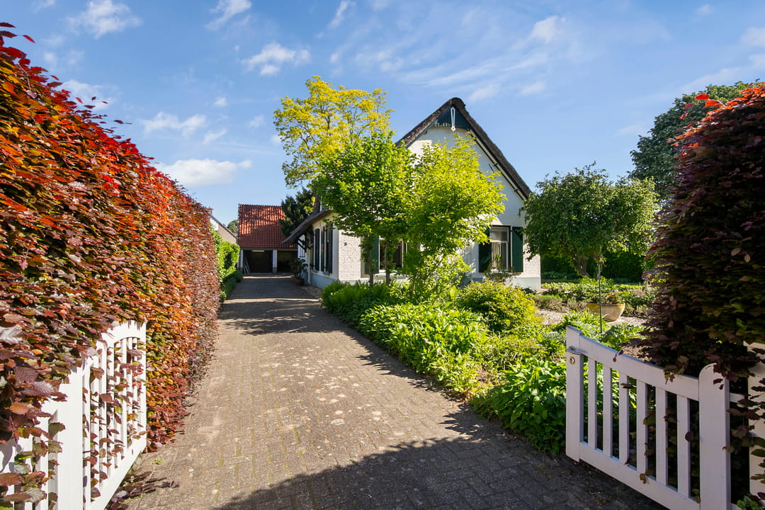 Photo 2 of Klaproos 3