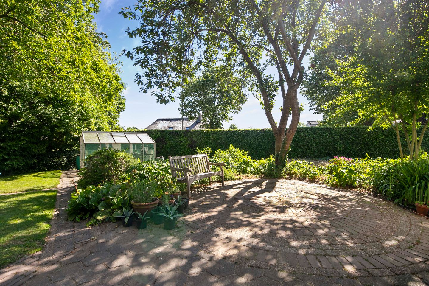 Photo 4 of Klaproos 3