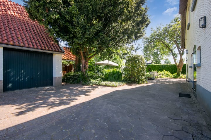 Foto 28 van Klaproos 3