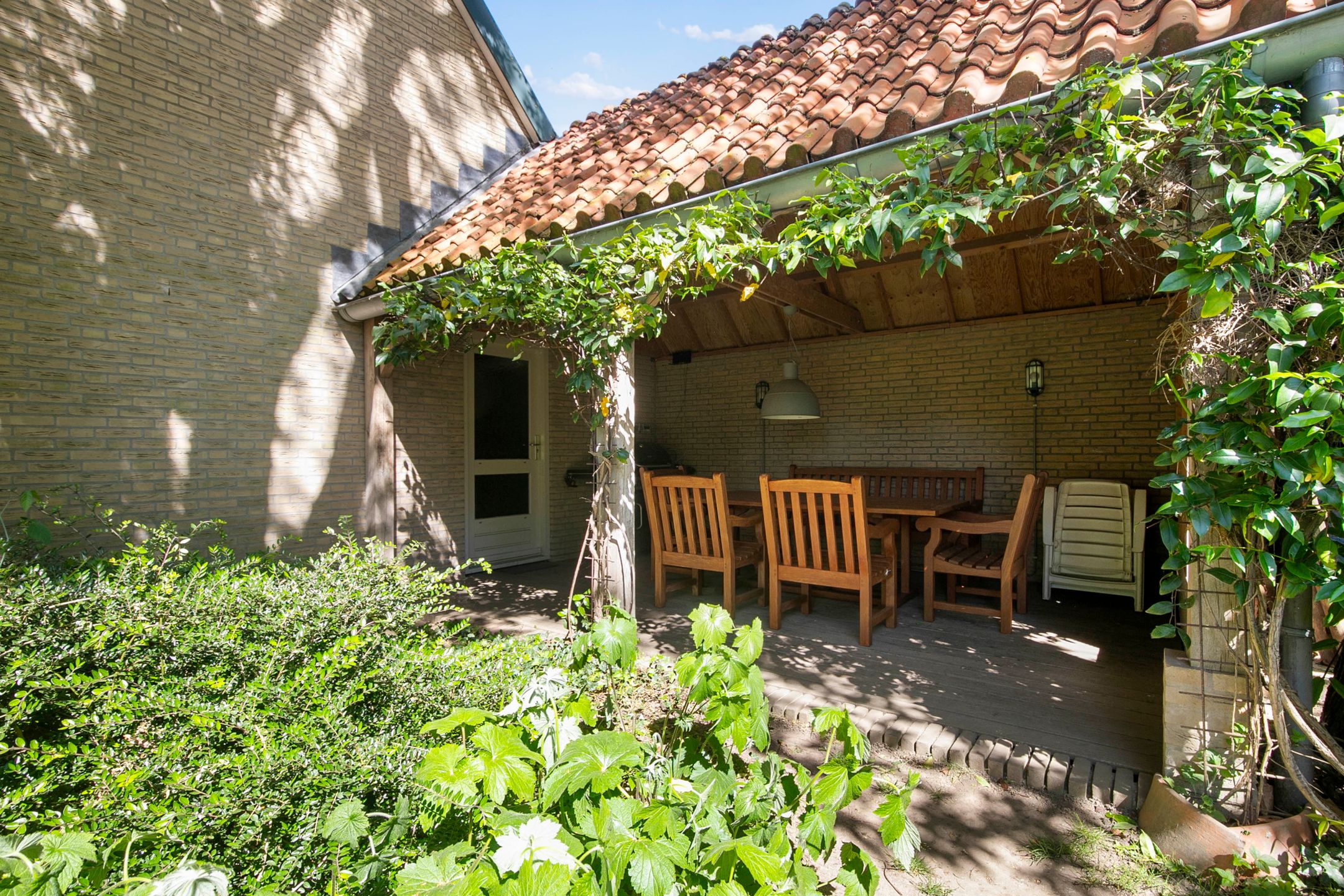 Photo 30 of Klaproos 3