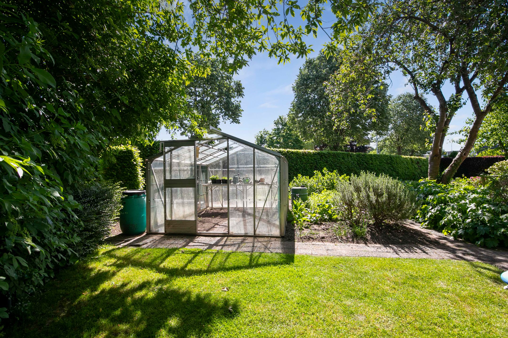 Photo 33 of Klaproos 3