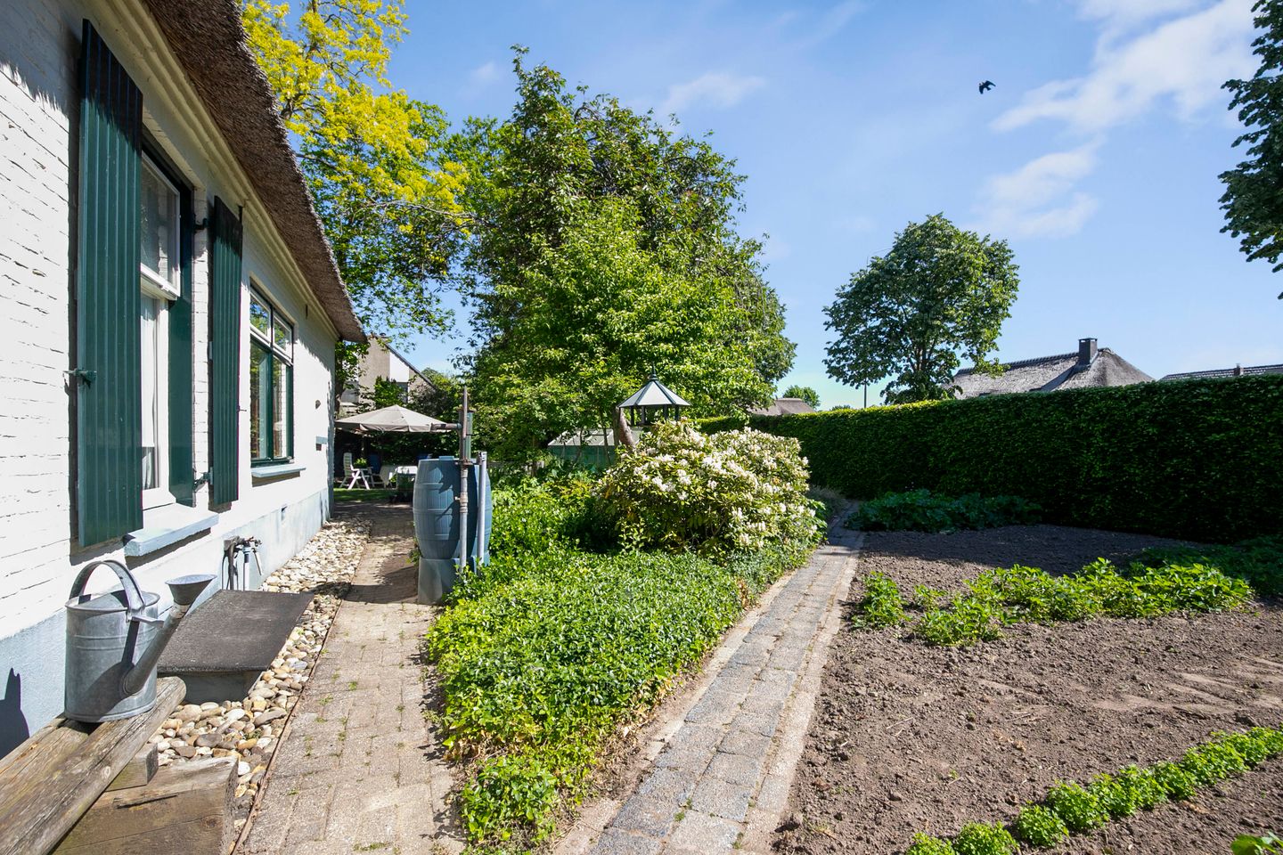 Photo 35 of Klaproos 3