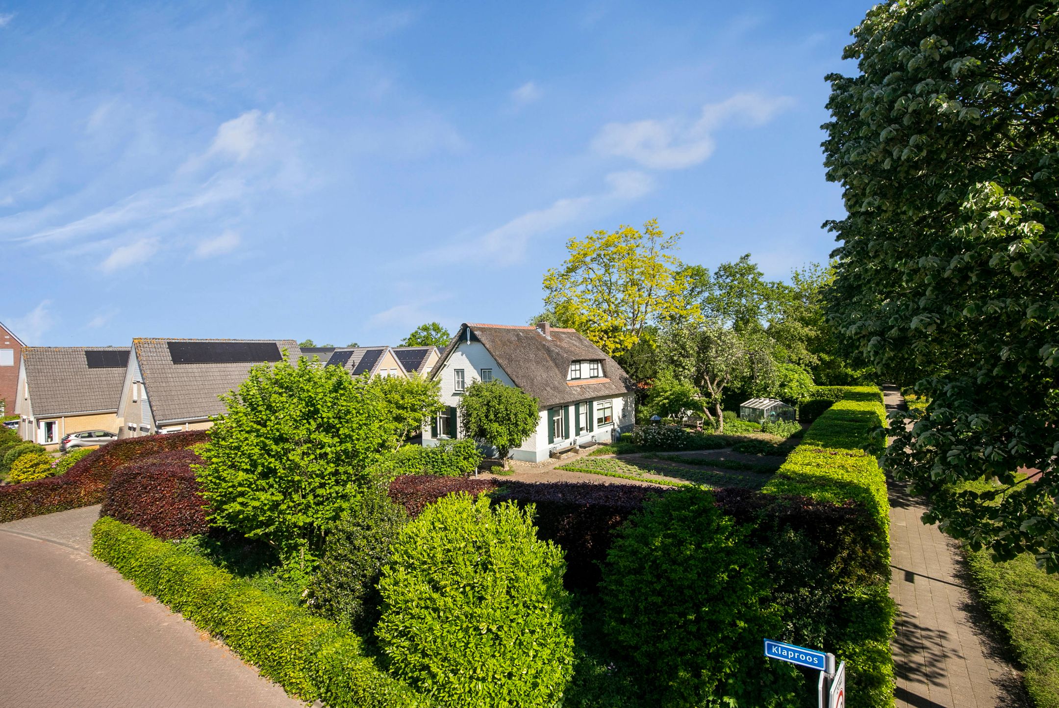 Photo 36 of Klaproos 3