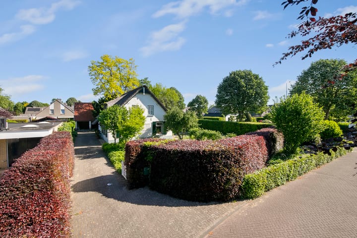 Foto 37 van Klaproos 3