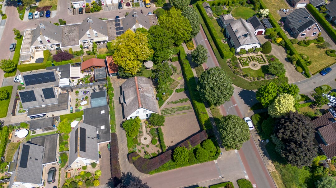 Photo 38 of Klaproos 3