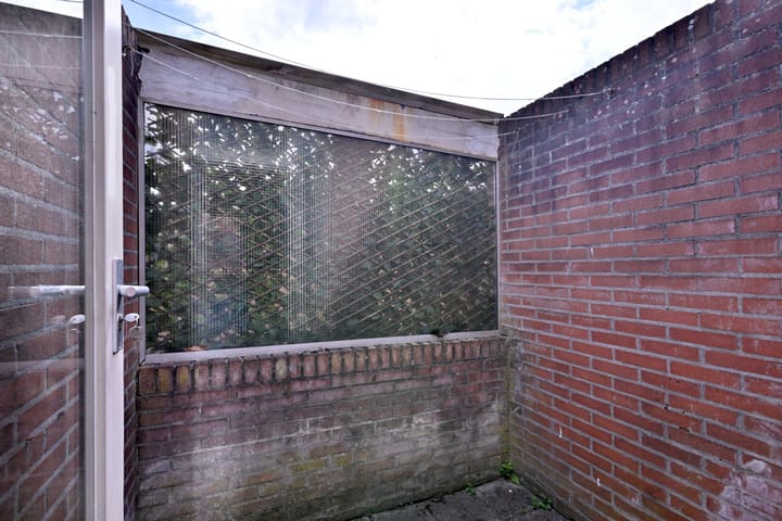 Foto 9 van Vogelslag 38