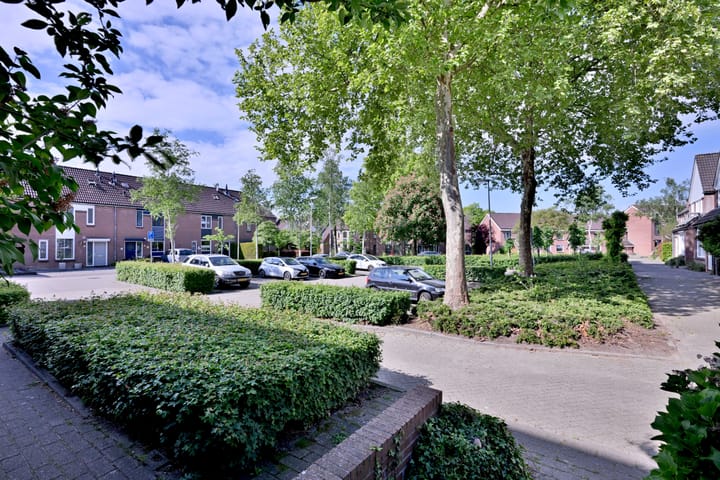 Foto 13 van Vogelslag 38