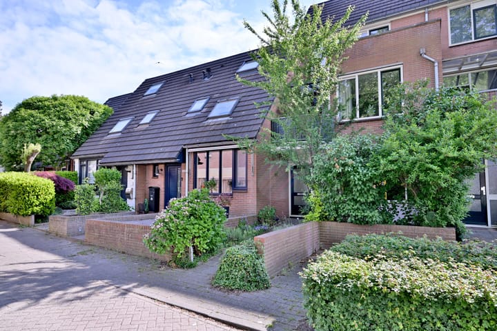 Foto 16 van Vogelslag 38