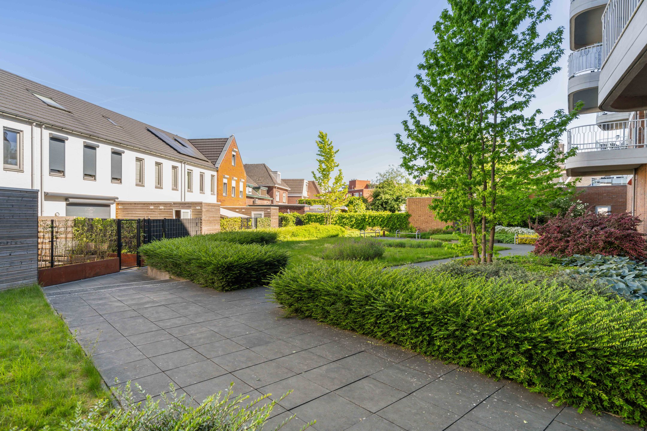 Photo 33 of Wilhelminaplein 27